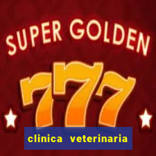 clinica veterinaria cuidar betim